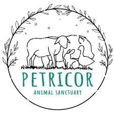 petricor