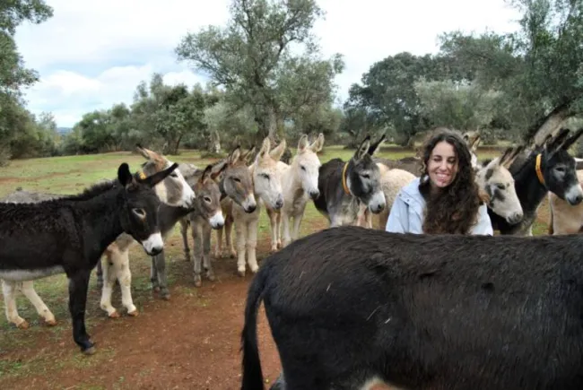el refugio del burrito