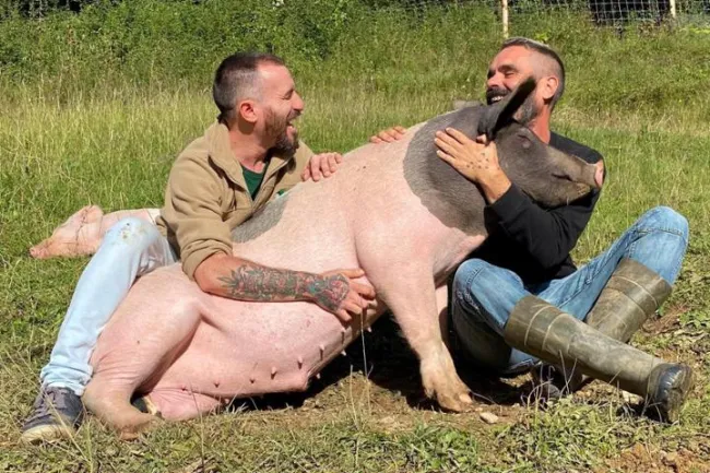 joder con el texto de los huevos