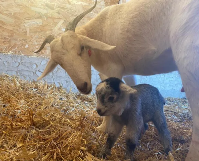 el rincon de barakah