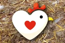 pollets de la terreta