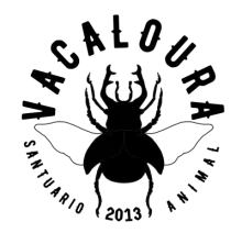 logo vacaloura