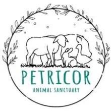 petricor